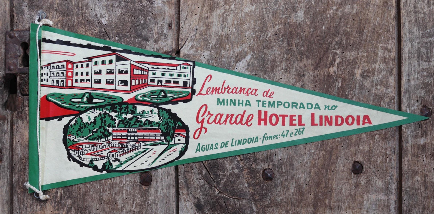 Vintage 1950s home decor Brazilian Santos satin mid century tourist souvenir pennant screen printed print