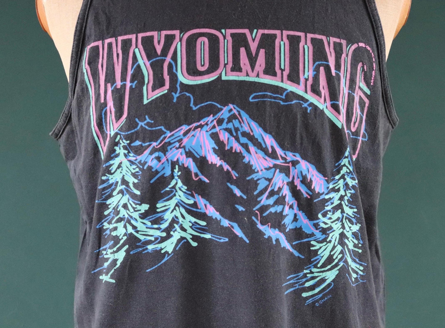 Vintage 1990s t shirt - faded black and neon vest - Wyoming tourist souvenir - 44” chest