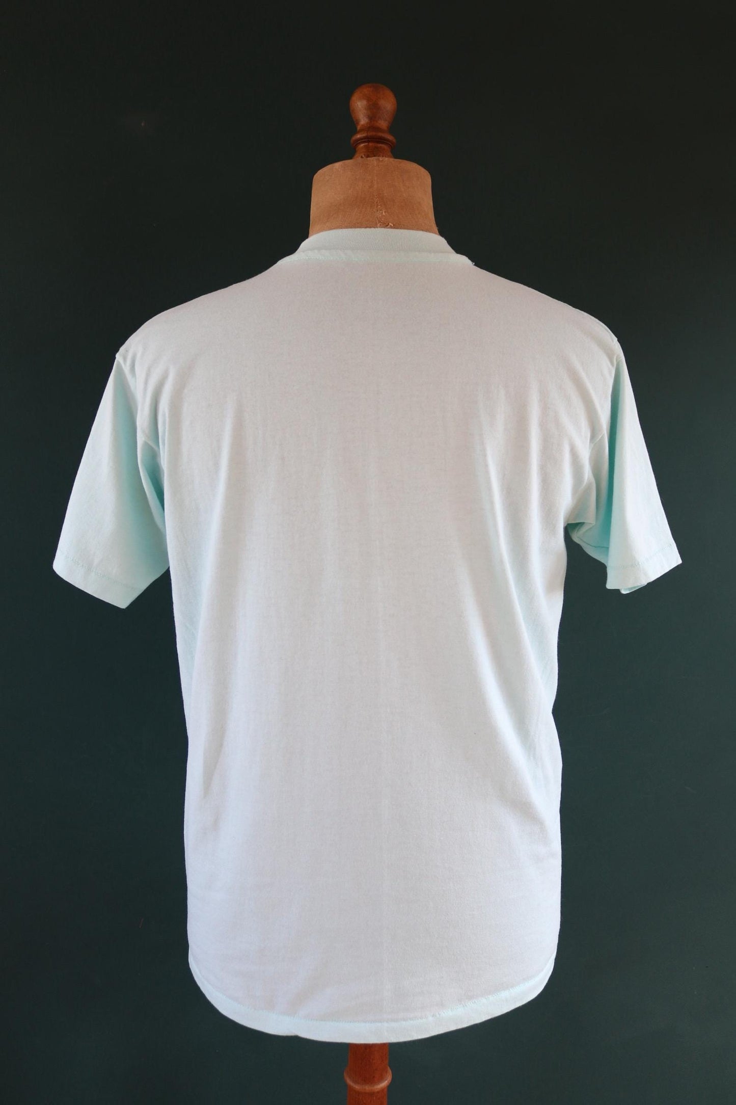 Vintage 1990s tourist t shirt - New Hampshire print - mint green - 41” chest