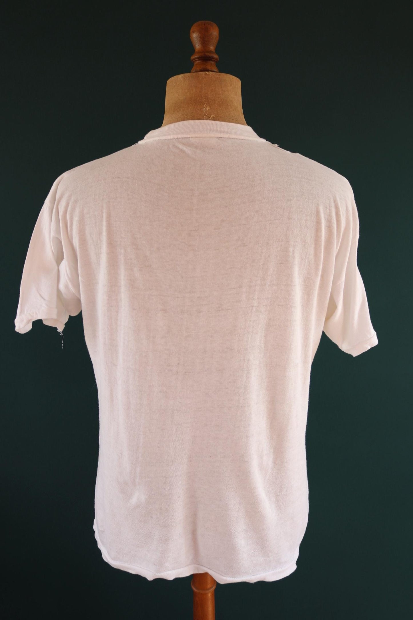 Vintage 1990s California surf t shirt - Hang Ten - palm tree print - 42” chest