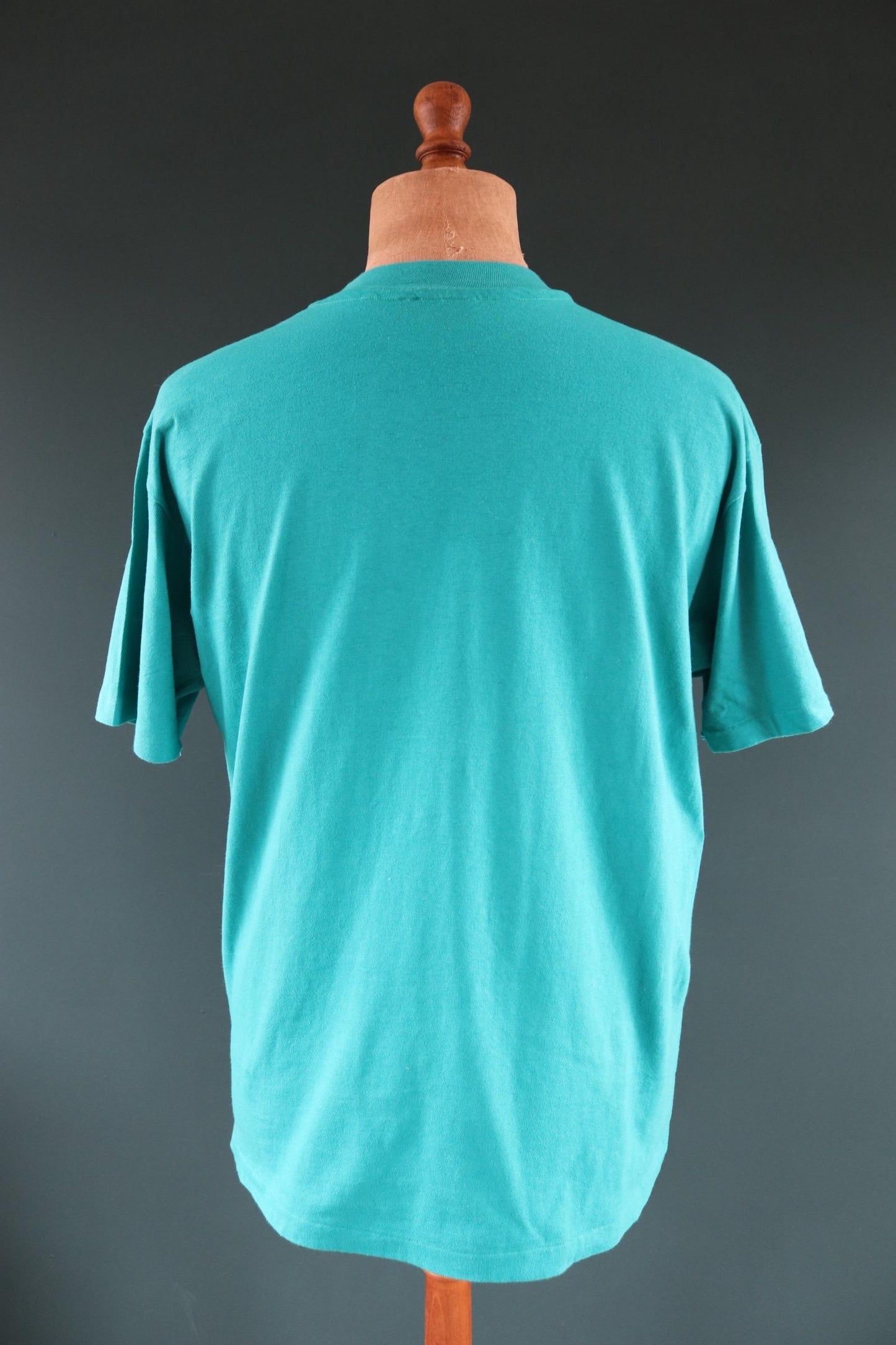 Vintage 1990s teal green Alaska t shirt - 43” chest