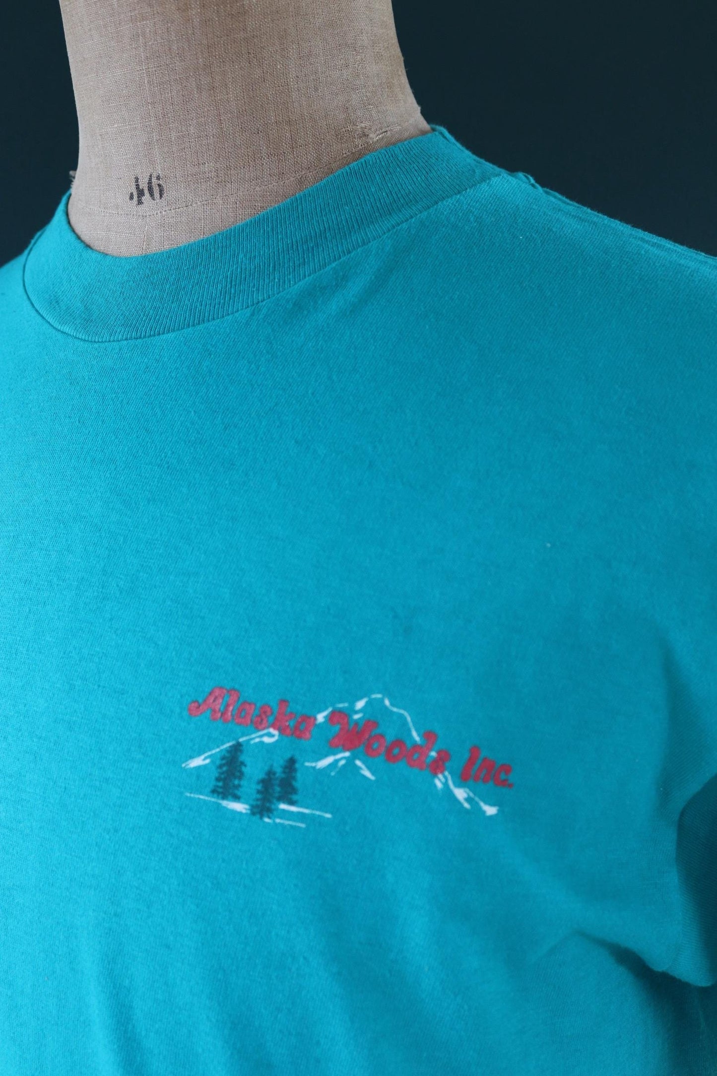 Vintage 1990s teal green Alaska t shirt - 43” chest