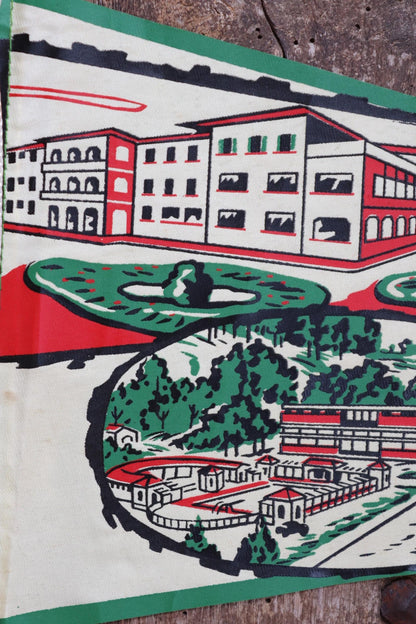 Vintage 1950s home decor Brazilian Santos satin mid century tourist souvenir pennant screen printed print