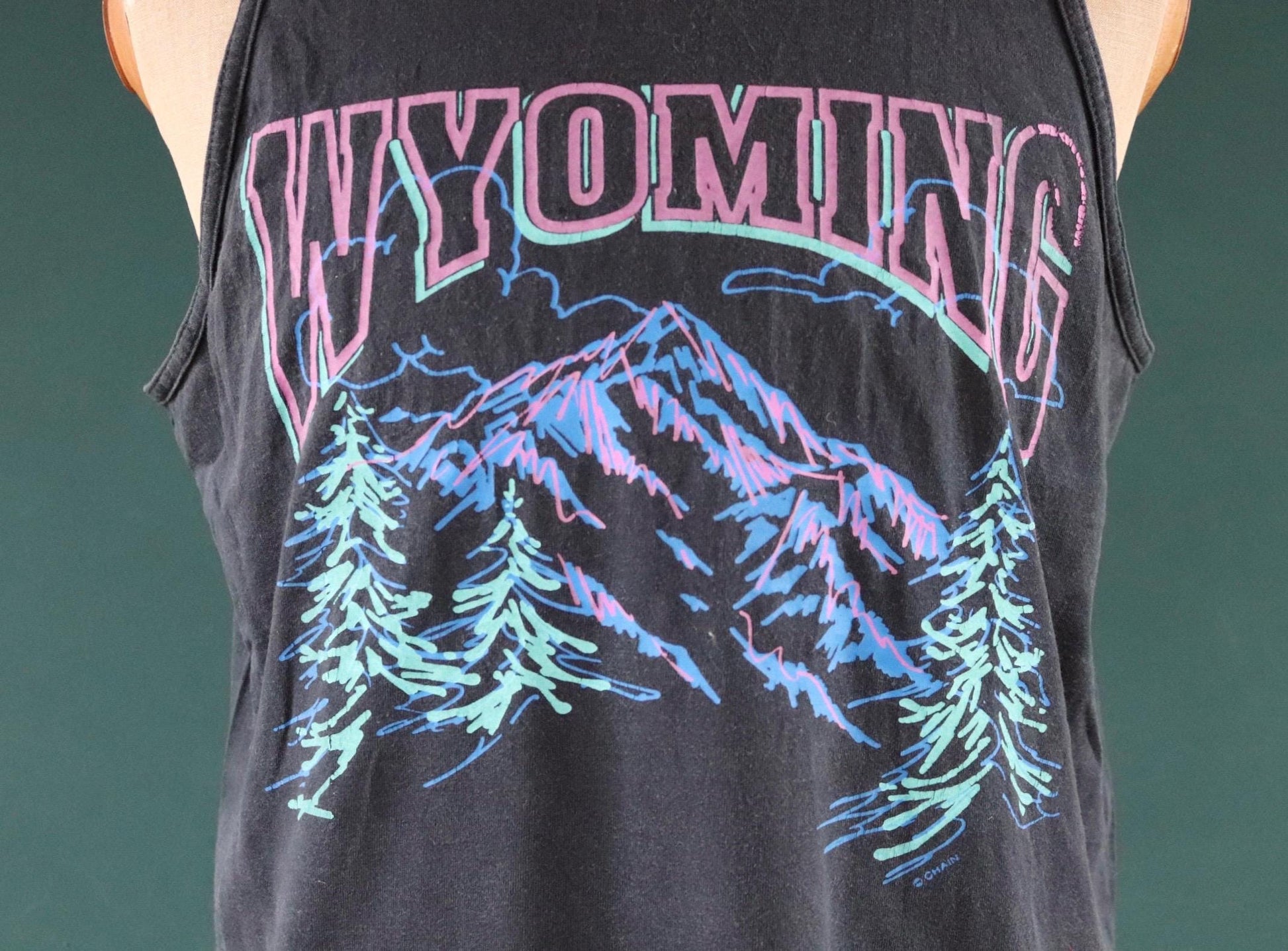Vintage 1990s t shirt - faded black and neon vest - Wyoming tourist souvenir - 44” chest