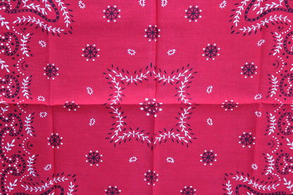 Vintage 1940s 40s trunk up Elephant brand cotton colourfast colorfast turkey red bandana pocket square neckerchief paisley Davis Catterall