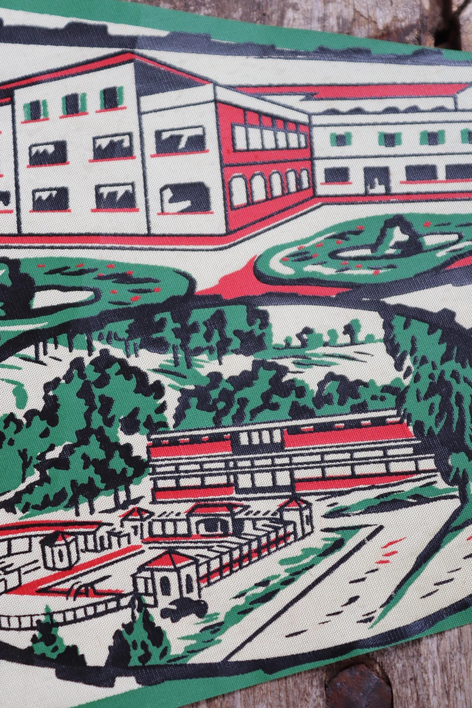 Vintage 1950s pennant - mid century home decor - Brazil tourist souvenir - screen print