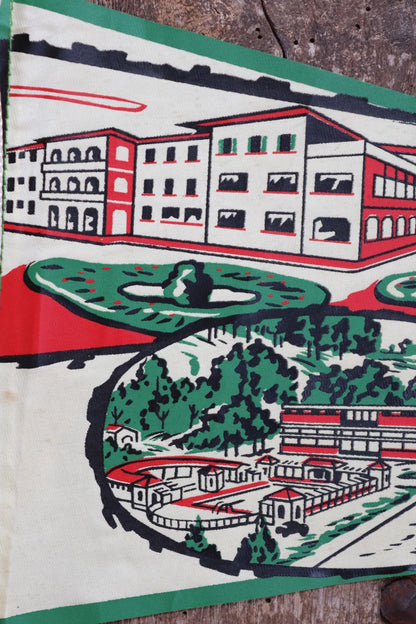 Vintage 1950s pennant - mid century home decor - Brazil tourist souvenir - screen print