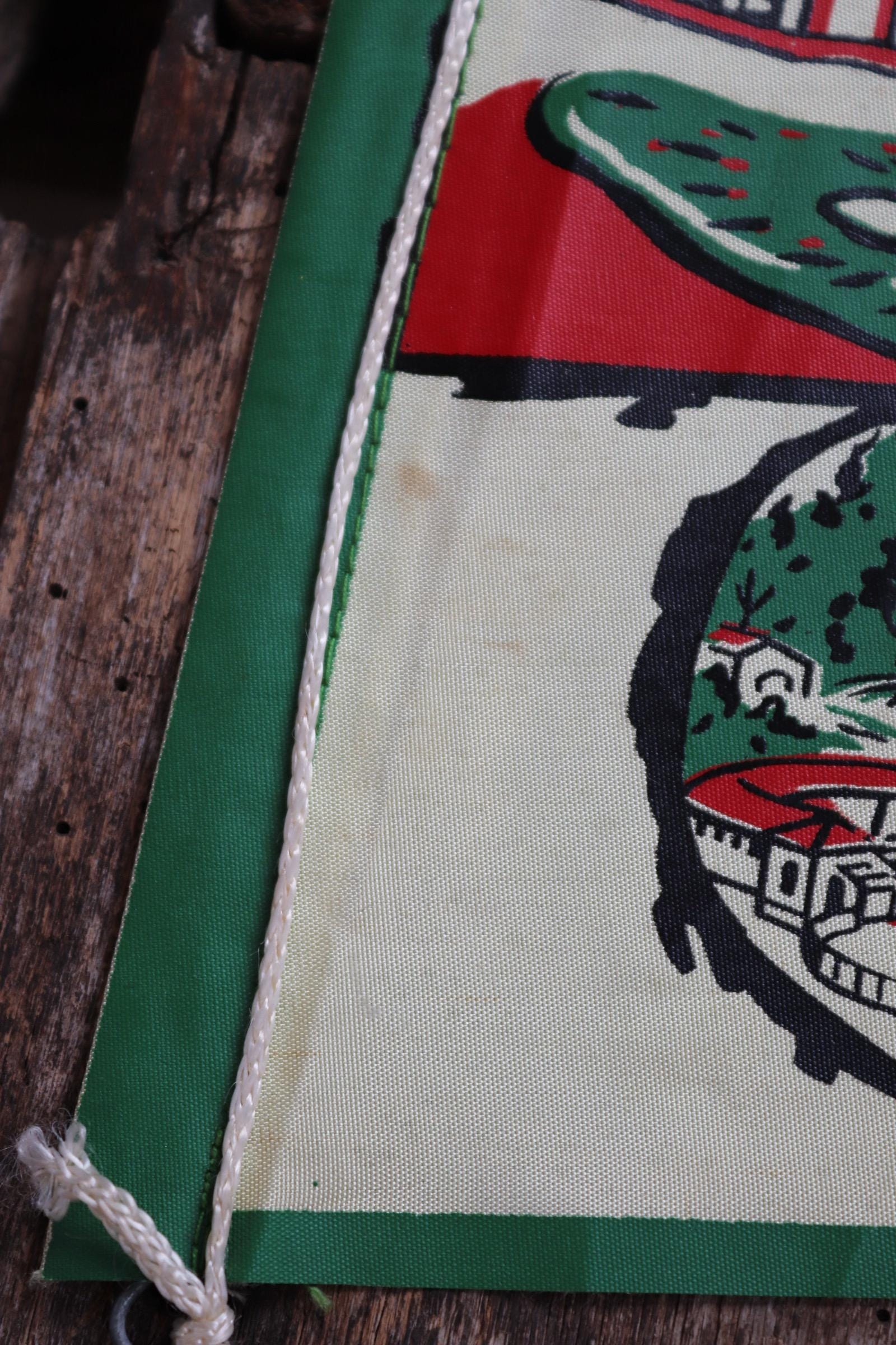 Vintage 1950s pennant - mid century home decor - Brazil tourist souvenir - screen print