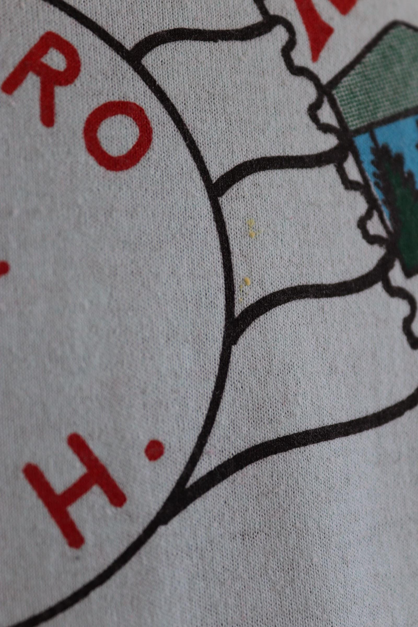 Vintage 1990s tourist t shirt - New Hampshire print - mint green - 41” chest