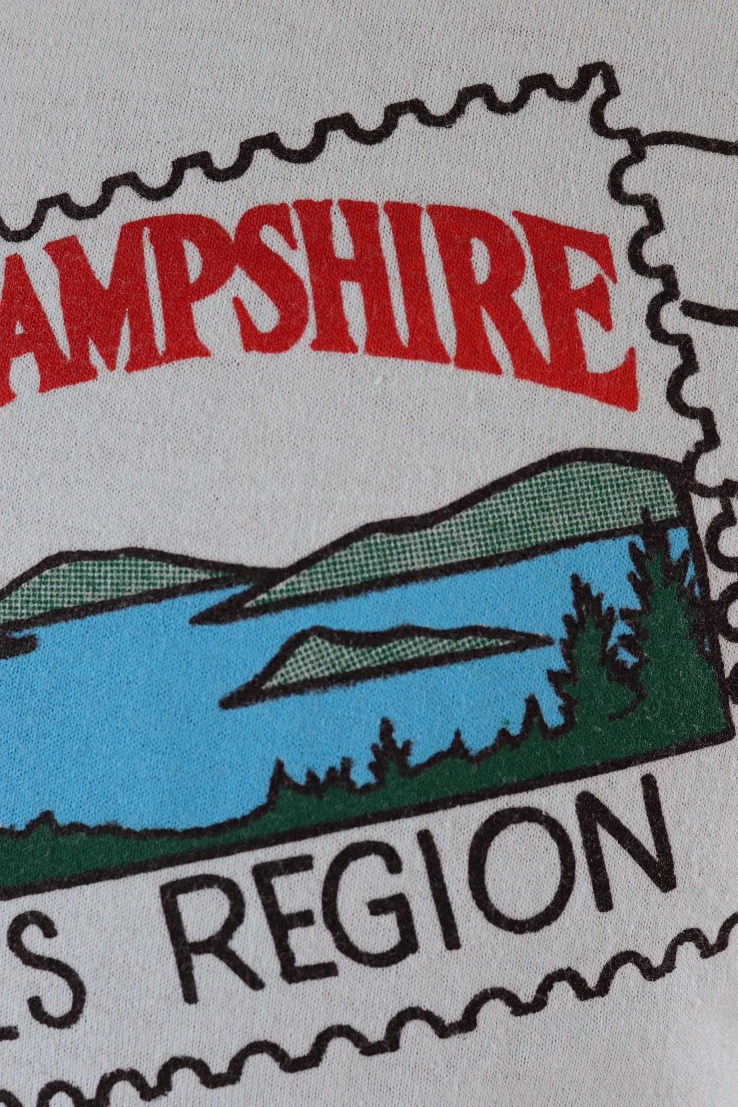 Vintage 1990s tourist t shirt - New Hampshire print - mint green - 41” chest