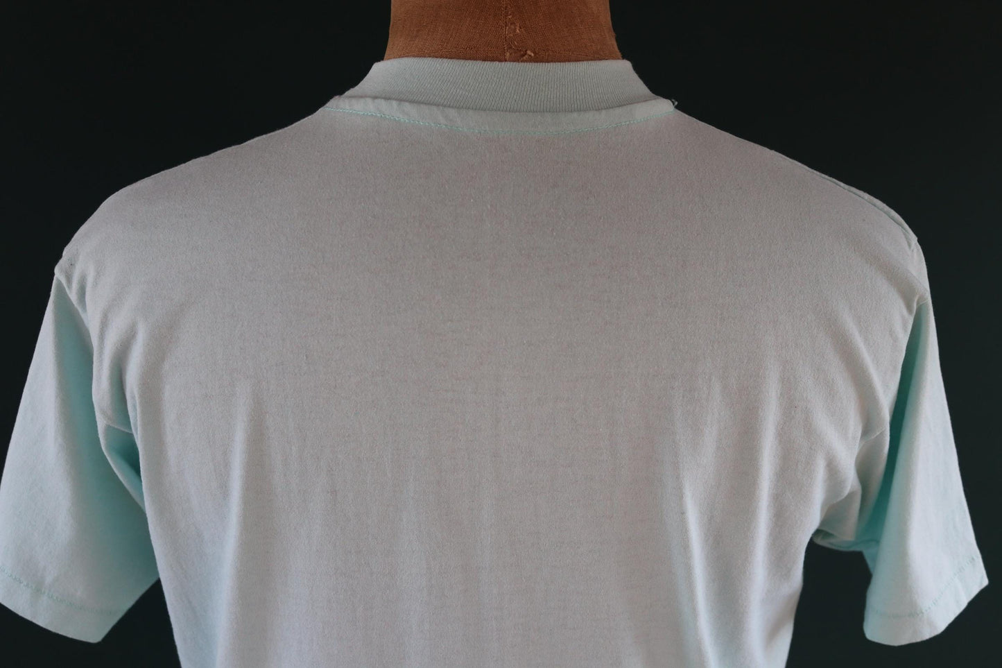 Vintage 1990s tourist t shirt - New Hampshire print - mint green - 41” chest