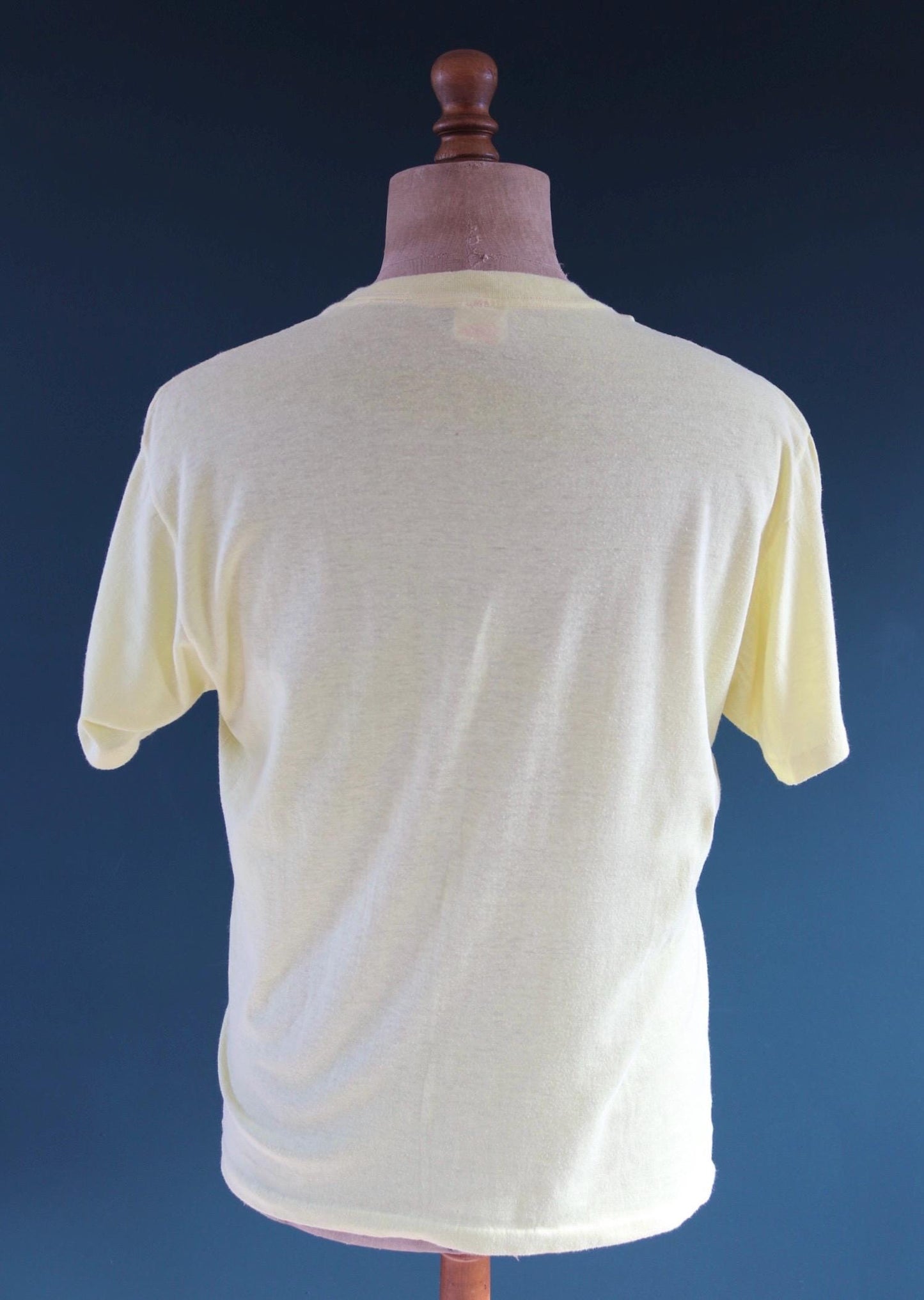 Vintage 1980s t shirt - Florida tourist souvenir - sunset print - 41” chest