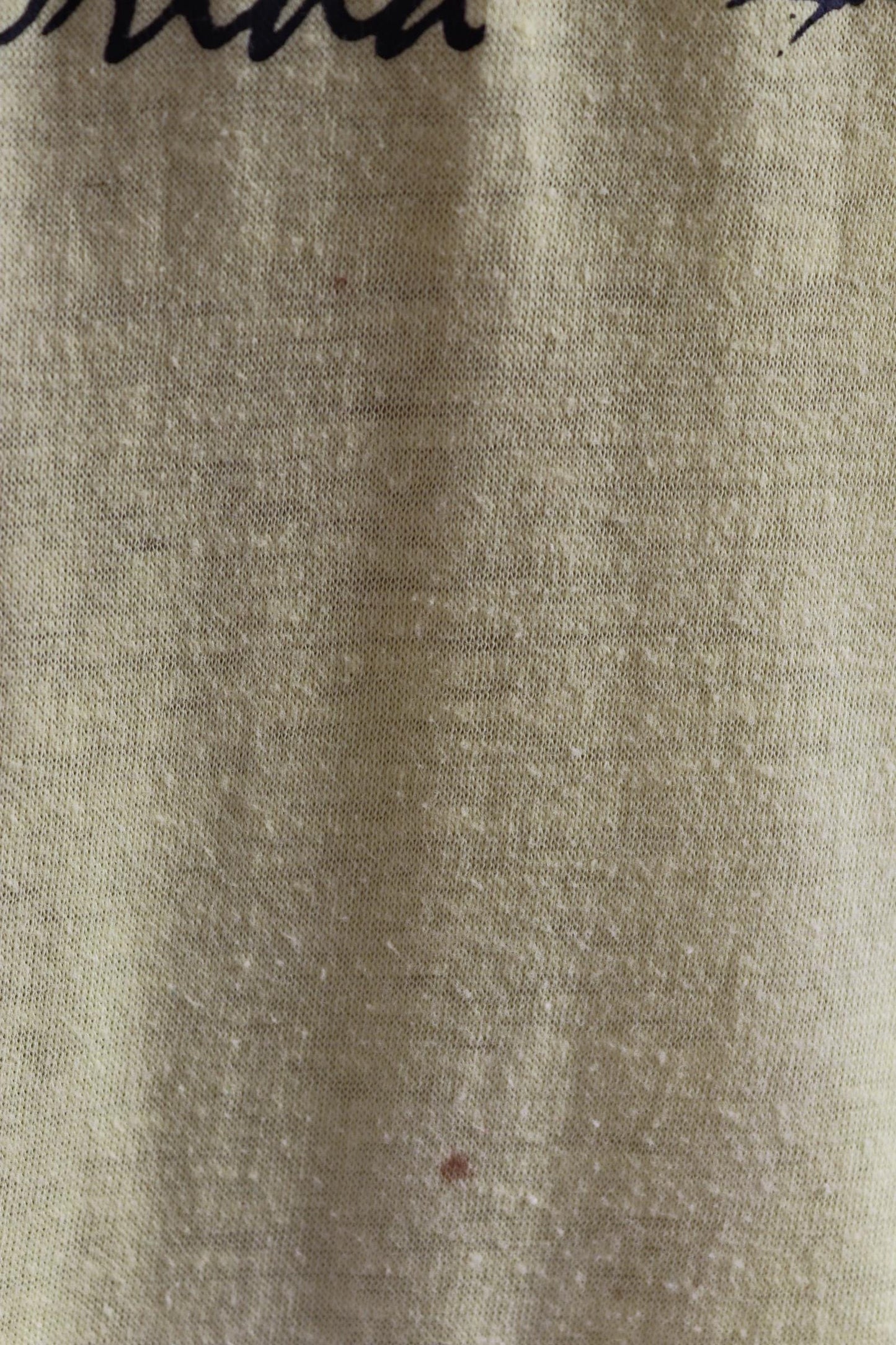 Vintage 1980s t shirt - Florida tourist souvenir - sunset print - 41” chest