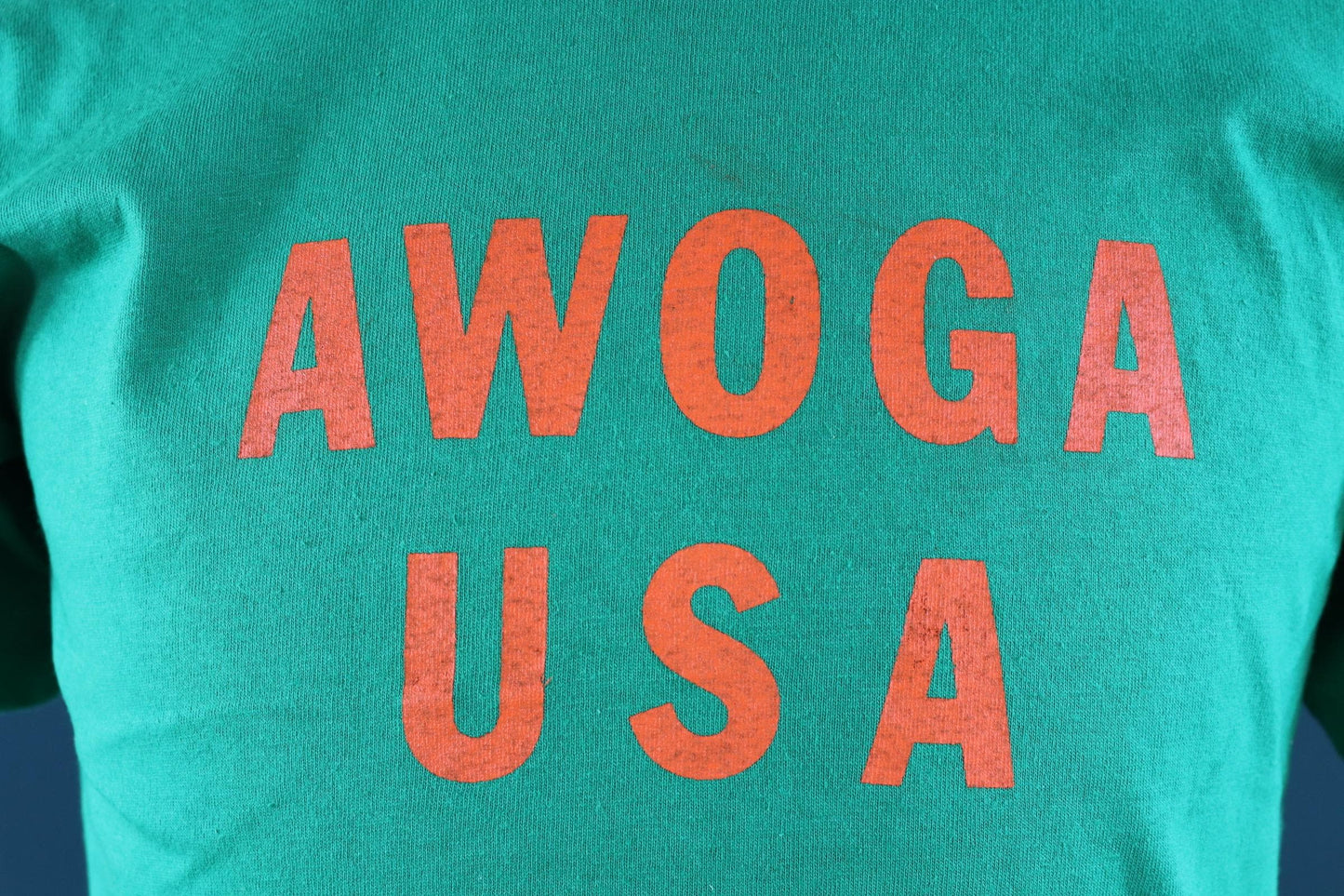 Vintage 1990s t shirt - single stitch - Awoga USA print - 40” chest
