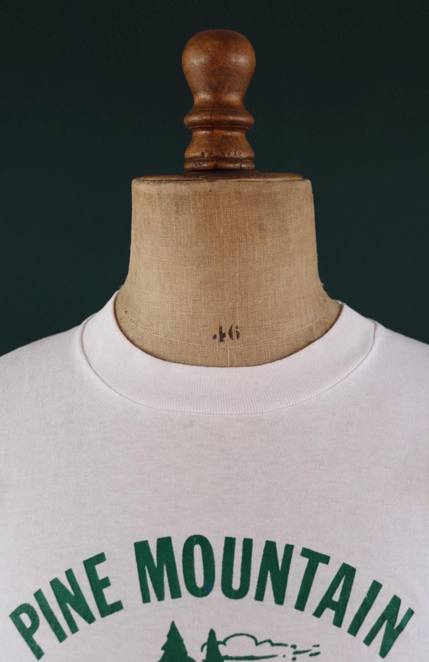 Vintage 1990s camp t shirt - Pine Mountain - white tee - 38” chest