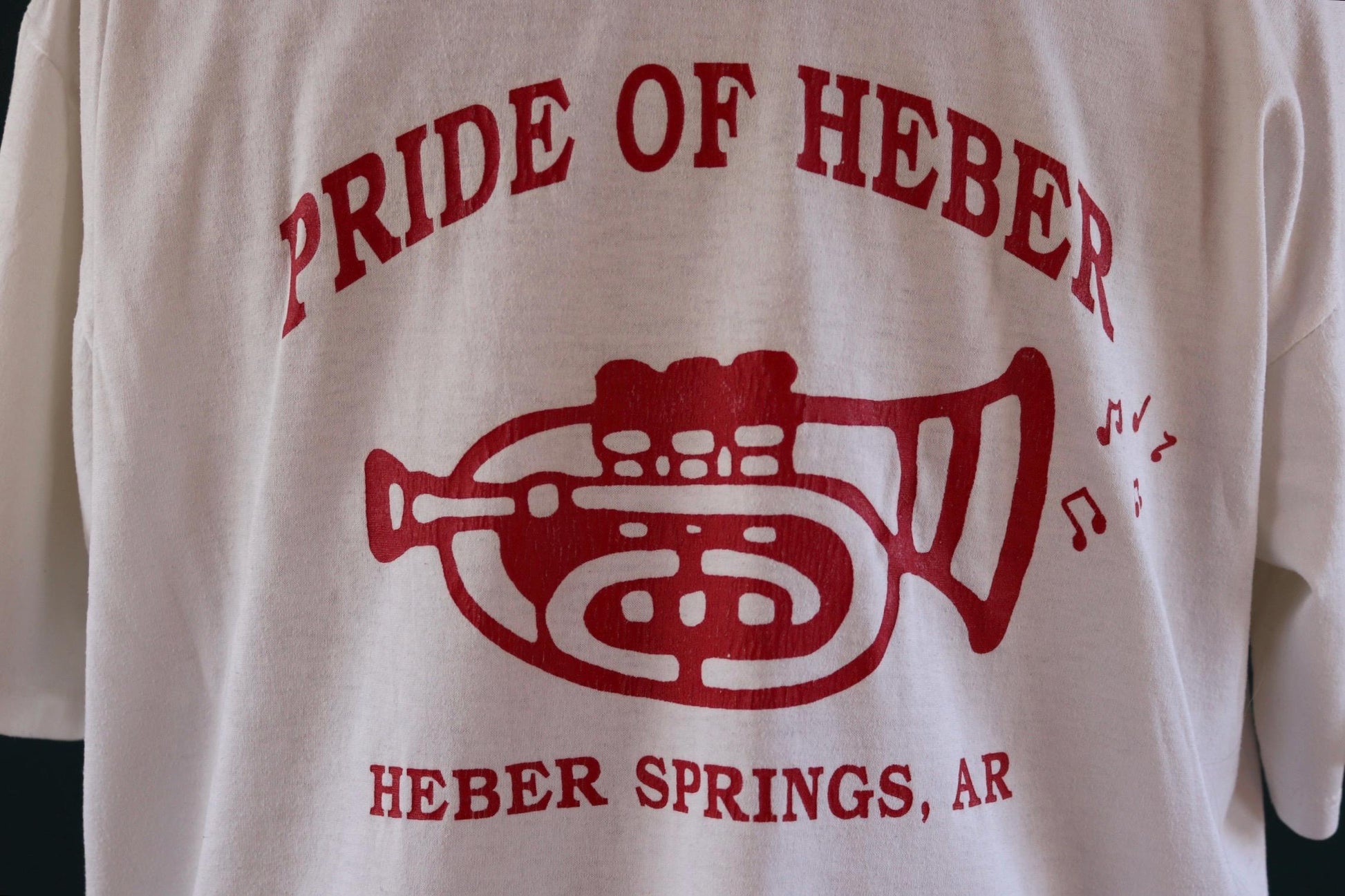 Vintage 1990s panther t shirt - high school band - 50 50 tee - 47” chest