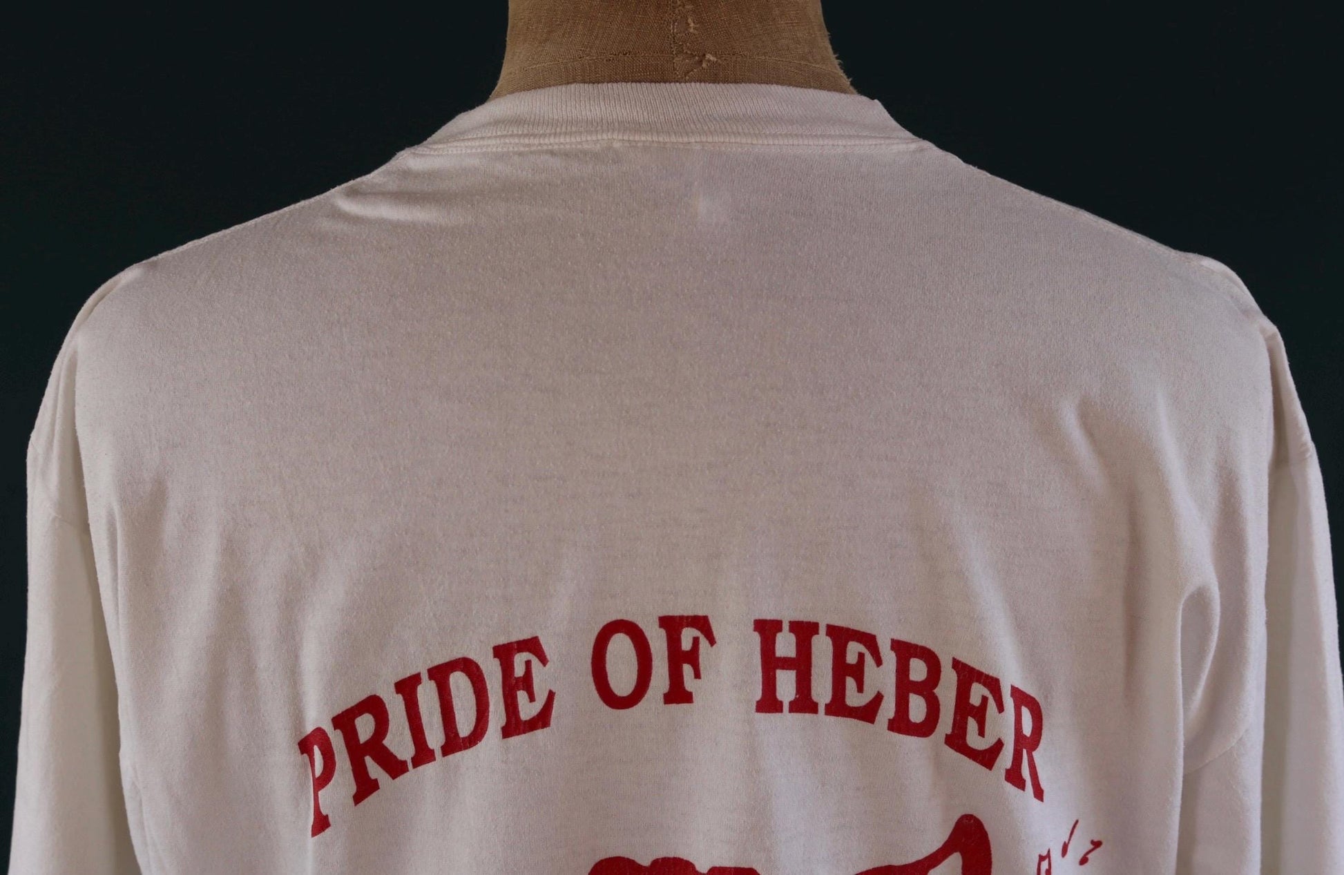 Vintage 1990s panther t shirt - high school band - 50 50 tee - 47” chest