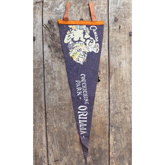 Vintage 1950s Canada pennant - mid century home decor - tourist souvenir - screen print