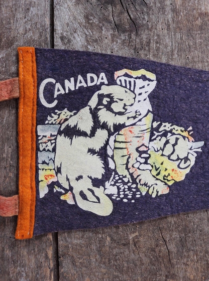Vintage 1950s Canada pennant - mid century home decor - tourist souvenir - screen print