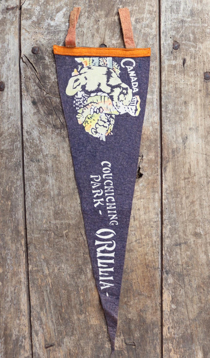 Vintage 1950s Canada pennant - mid century home decor - tourist souvenir - screen print